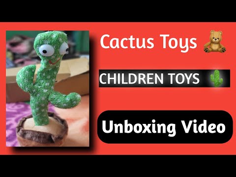 Cactus Toy Unboxing