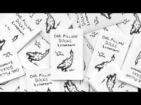 one million ducks - a zine giveaway // show your work!!