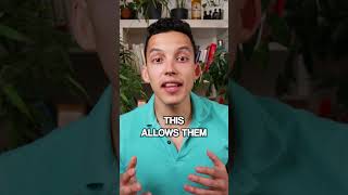 3 Conditions To Learn Many Languages At The Same Time #shorts #language #languagelearning