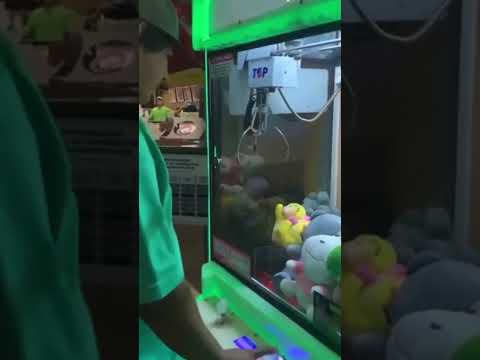 yang keluar malah Kucing 🐈 #shorts #shortvideo