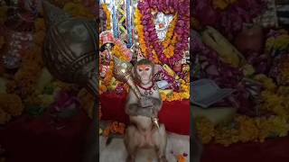 Balaji Mane acha lage che...❤️..Ram ji ke param bhakt..Jai ho balaji🌹#hanumansongremix #balaji