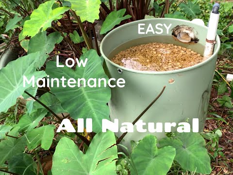 ORGANIC BIO BARRELS (Natures Filter for LIFE) - ABs Filtration Part 3