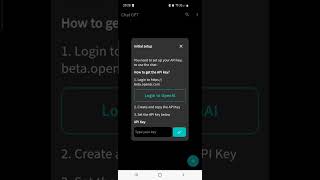 Chat GPT API app setup