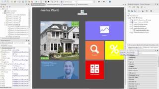 EmbarcaderoTechnology Partner Spotlight - DevExpress VCL Controls