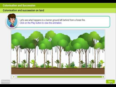 Learningport - Scientific animations
