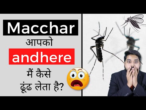 Macchar आपको  andhere मैं कैसे  ढूंढ लेता है? | Facts |#shorts #facts