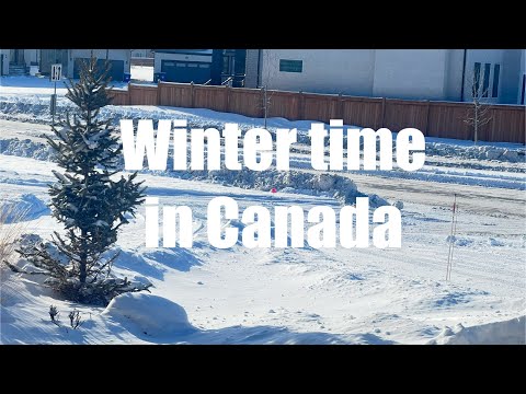 Winter in Canada 🇨🇦 January 2024