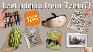 WEIRD AND PRACTICAL | Last Minute Temu Gift Ideas
