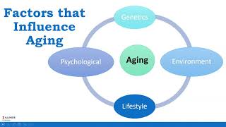 Understanding the Aging Process: How Aging Affects Your Nutritional Status