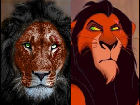 The Lion King Characters In Real Life| All Characters #thelionking  #inreallife #simba #characters