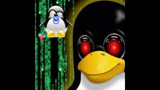 A Beginner Linux Guide