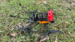 Foxeer Mega LR7 / FETech Alpha G4 FC  / 03 G3 / Sky Bird FPV