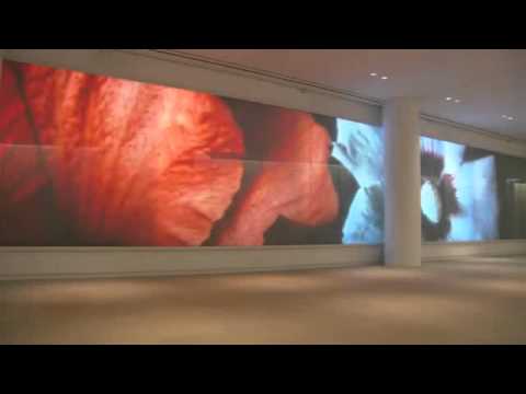 Stewart Filmscreen to learn more see description