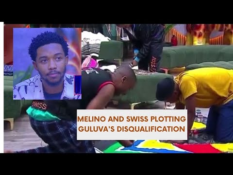 MELINO AND SWISS CONSPIRES TO ELIMINATE SWEET GULUVA FROM THE HOUSE | BBMZANSI 2025