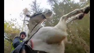 Nervous hacking out? Is your horse anxious? DON'T MAKE IT WORSE BY DOING THESE COMMON MISTAKES!