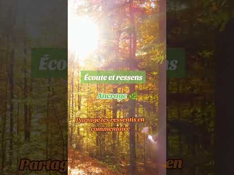 Ancrage - Tambour et Voix