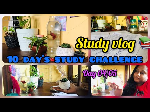 10 day’s study challenge එකේ day 04/05 📚✏️ අලුතින් ලස්සන පැල කිහිපයක් කාමරේට 🪴🌈🍄 #studychallenge