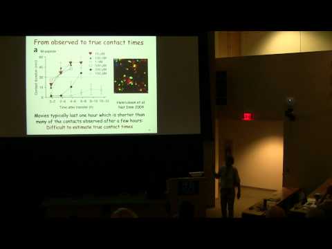 Rob DeBoer: Analyzing immune cell migration