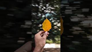 Try this Creative Photography with your phone 💡📱 Easy Trick #youtubeshorts  #photography