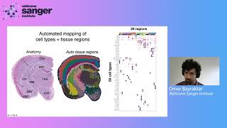 Sanger Institute - High Throughput Spatial Genomics - Dr Omer Bayraktar