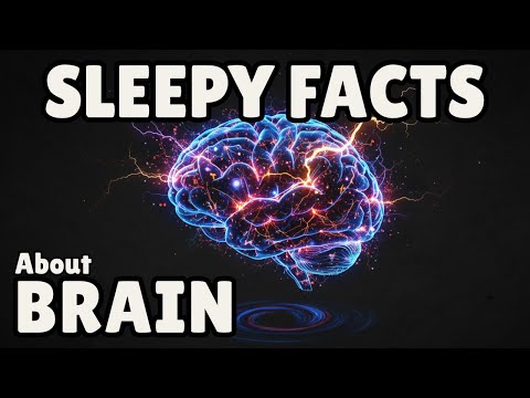 The Brain Cell That Regrows After Death 🌙 LECTURE FOR SLEEP
