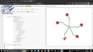 turtle -python for fun