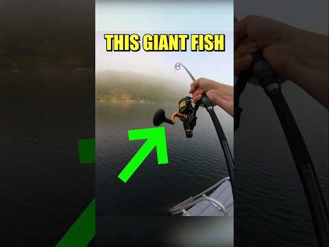 Fighting 2 BIG Fish At Once!