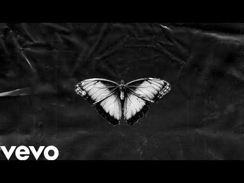 Flazerboys - Butterfly Flip (Official Audio)