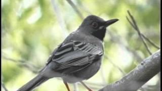 Calabash Eco Adventures