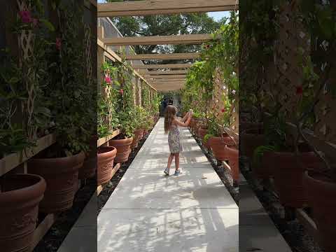 Butterfly World - A Breathtaking South Florida Family Adventure in Greater Fort Lauderdale