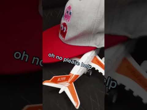 if planes on a real trip