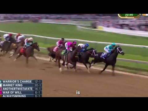 International Horses race