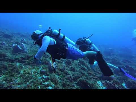 Cozumel Drift Dive - 2018