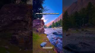 Hard work is not a virtue, it's a control mechanism 💥💥#WebsiteDesignTips #SmartWebDesign