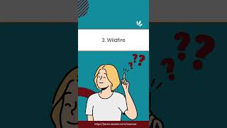 Recently Asked Questions in Palo Alto Firewall Interview | SIANETS