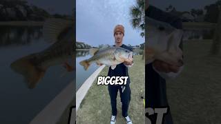 10 POUND BASS EVERYWHERE?! #shorts