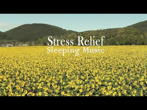 Beautiful Relaxing Music Stress Relief, Deep Sleep 🌼Soothing Music With Nature Sound & Calm The Mind