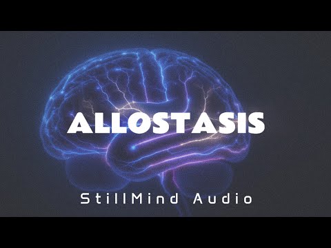 Neural Integration Protocol: 2hr Bilateral Stimulation + Delta Entrainment for System Optimization