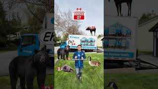 Support Local Proudly Canadian Businesses!