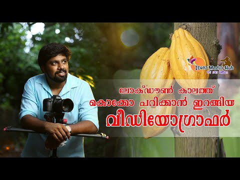ലോക്ക്ഡൗണിൽ കൊക്കോ പറിക്കാൻ ഇറങ്ങിയ വീഡിയോഗ്രാഫറുടെ കഥ|chocolote malayalam|coco tree|Iconz Media Hub