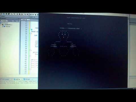 C Robot   And Flag C++