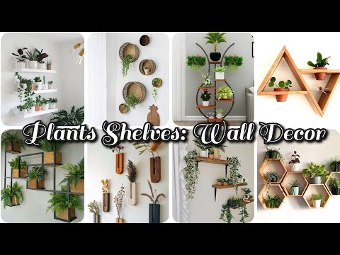 Easy DIY Plant Shelves for Stylish Wall Decoration | Interior Design Trends 2023