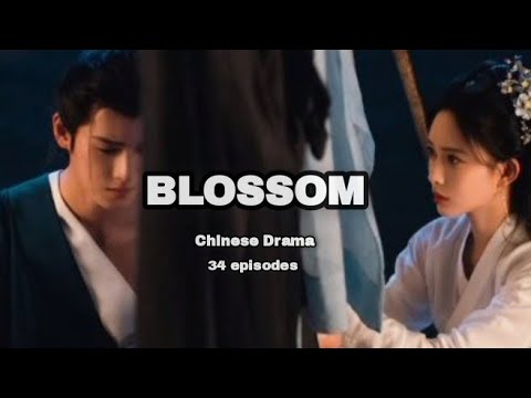 Blossom 🌸- A lady despite all odds against her strives to change her fate