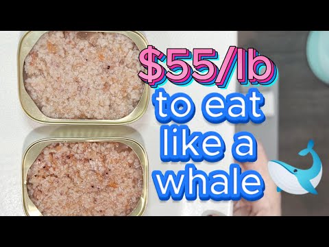 CANNED KRILL comparison! 🐳 + quick lunch idea!