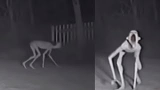 SCARIEST VIDEOS on the Internet That Documenting TRUE TERROR!