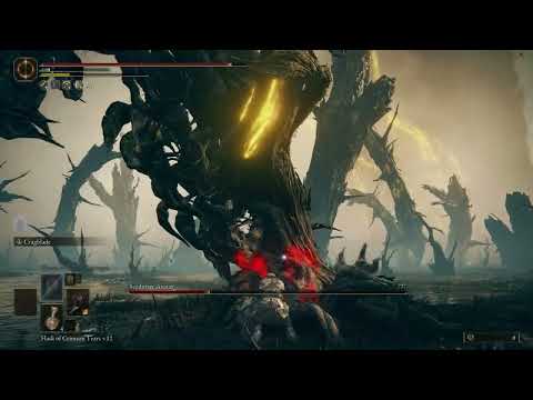 Scadutree (No blessings) At least 59 deaths