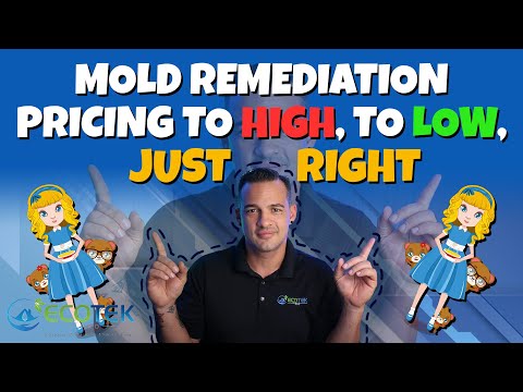 Are Mold Remediation Prices Too High, Too Low or Just Right?
