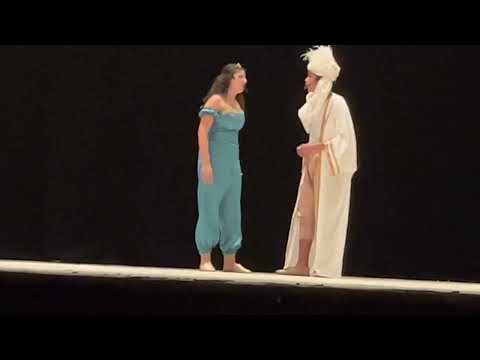 Fabrica - A Whole new world, Alaadin