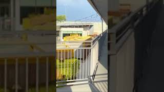 #firstyoutubeshort