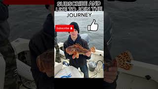 The future of fishing 🔥🤙🏼 #FishingKids #HBChumbagsFishing #FishingFun#YoungAnglers #FutureAnglers